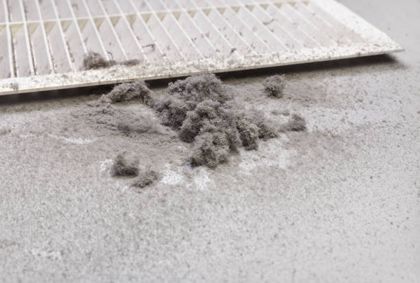 Best Air Duct Cleaning Near Me  in Avonia, PA