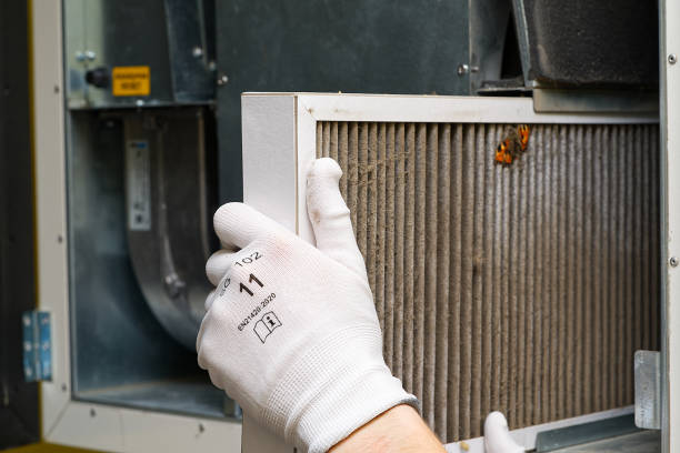 Air Duct Mold Removal in Avonia, PA
