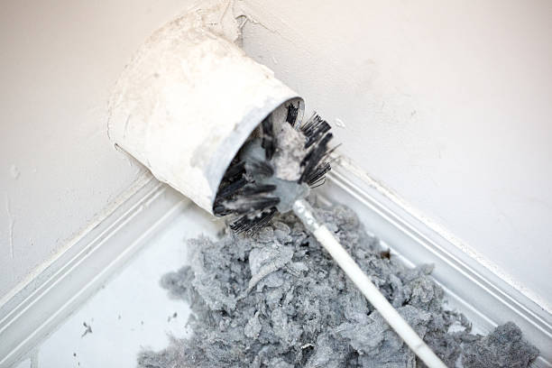 Best Professional Duct Cleaning Services  in Avonia, PA